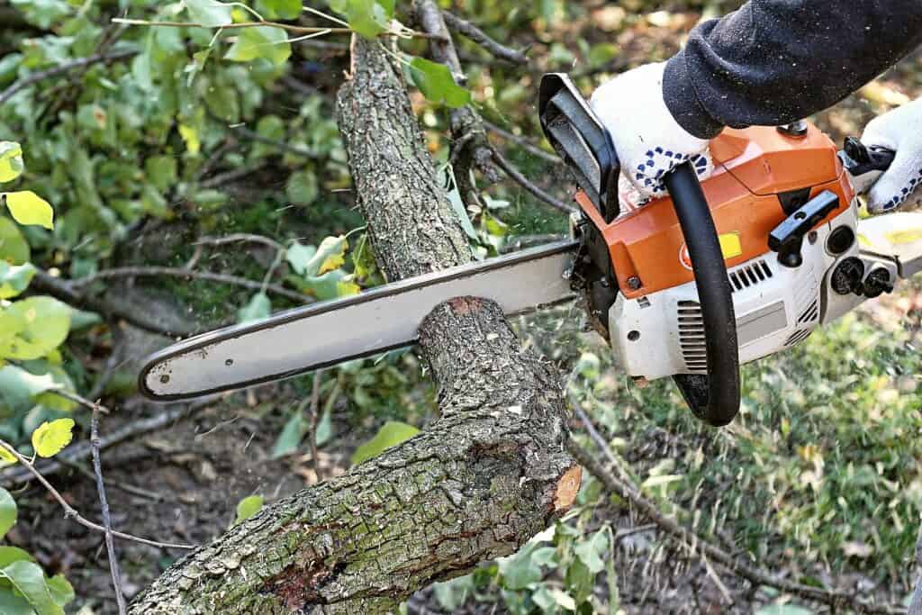 5 Benefits of Professional Tree Removal 2 Asheville Tree Service for storm clean up